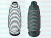 AUTOFREN SEINSA D9197C Bellow Set, steering